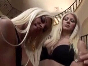 jazy berlin and nikita von james share a passionate kiss in 60fps