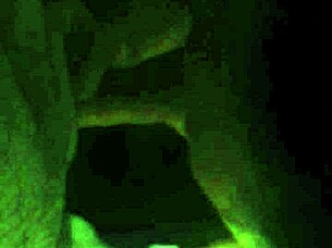 Chubby mature bj and fingering 😍