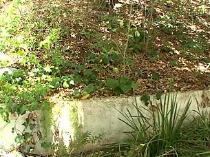 Zoey Nixon, is this cum leaking teen getting a facial?