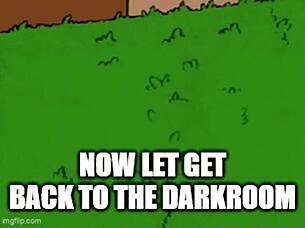 Did My Revenge Come Faster Than Expected In Slave Harem Part 4?