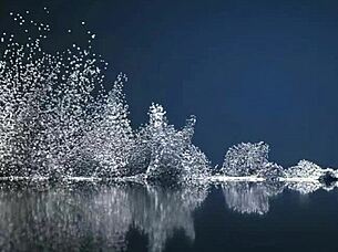 His Cock Vs Her Gag Reflex