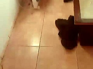 Latina Babe Screams During Dirty Talk And Tit Play