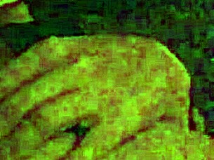 Woke up horny, deepthroats cock and licks balls