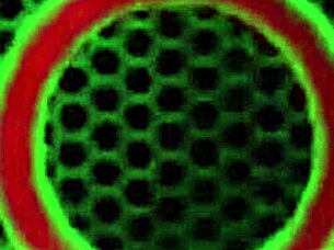 frida sante, enjoy that poolside sex