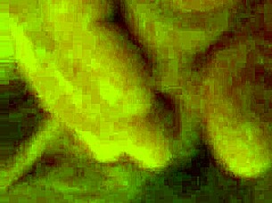 Homemade Video From November 29