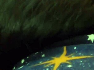 sex on the road in a motorhouse real couple 😍