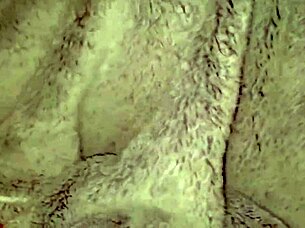 petite blonde flashes at party, sucks cock publicly