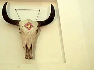 Zhang Xiaoyu shows off hot hairy Chinese pussy in softcore.