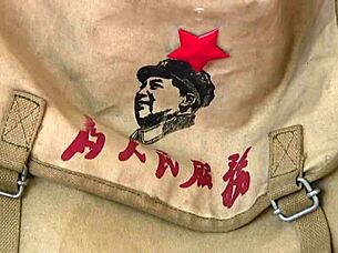 Zhang Xiaoyu shows off hot hairy Chinese pussy in softcore.