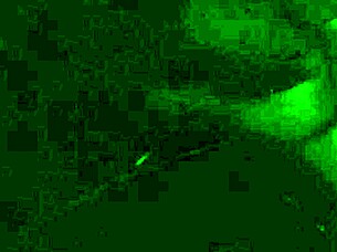 Hoodrat sucking dick