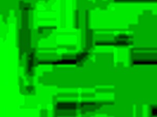 Hoodrat sucking dick