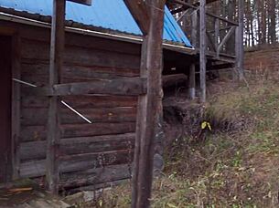 I love risky public quickies in the forest, cum on my ass