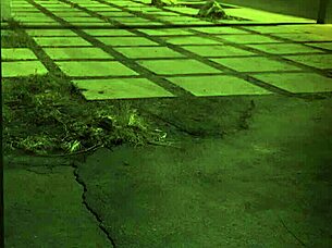 trampling domination feels extreme for teen hardcore bdsm