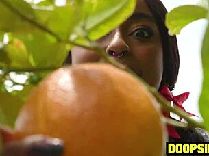 big ass ebony thief caught and punished by two big dick trannies