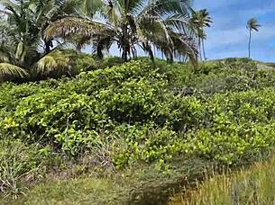 Lunna Geek Fucks in Nudist Orgy