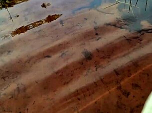 Lunna Geek Fucks in Nudist Orgy