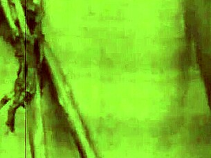 Dark Lantern presents vintage granny looking good