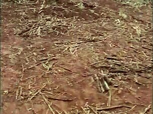 Small Latina Teen Gets Anal In The Field