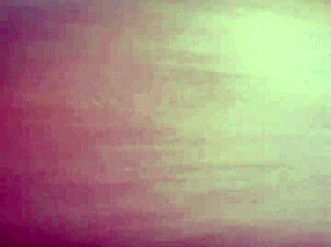 celebrating the new year 2020 with joy