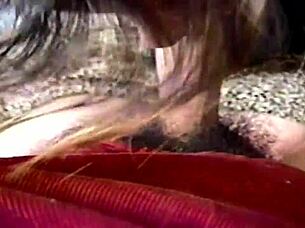 Compilation Of Blowjobs For Stepsons Friends And They Cum In My Mouth Full Milk