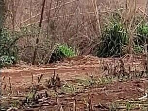 Small Latina Teen Gets Anal In The Field