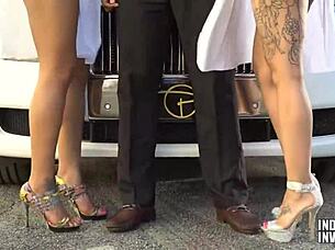 cute girl giving sloppy blowjobs to big cocks