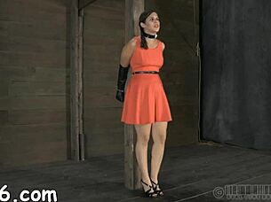 Sadomasochism Stories