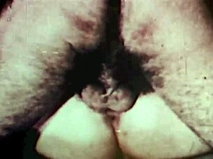 빈티지 오르기 드래곤플라이 프레디에서 섹스 파티