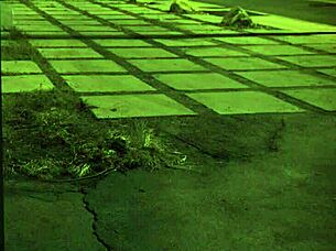 stranded teen got roughfucked outdoors 😈