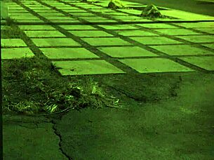 stranded teen got roughfucked outdoors 😈