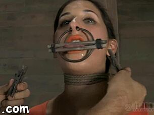 Sadomasochism Stories