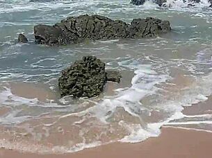 Showing everything on nudist beach, guys crazy for blowjob and anal?