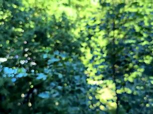 super mommy who still sucks cock so good, making it feel amazing