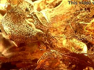 new sexy teen 18+ vicky demon first anal by lancelot