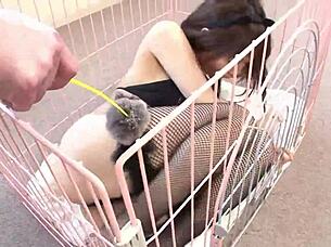 Shiori Aiuchi Serves Masters With Blowjobs And Riding