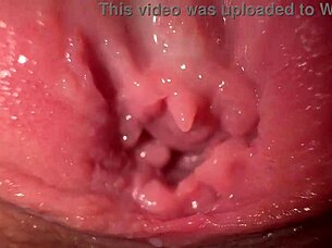 fuck that stepsister's tight creamy pussy?