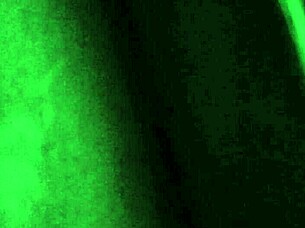 Watch The Neighbor Moan While Taking Dick?