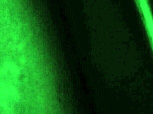 Watch The Neighbor Moan While Taking Dick?