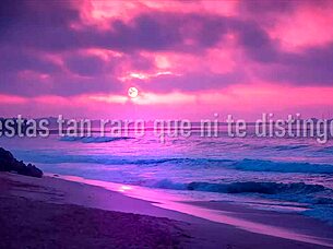 Shakira Bzrp Music Sessions 53 Letra