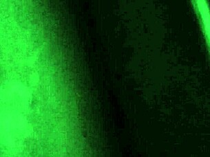 Watch The Neighbor Moan While Taking Dick?