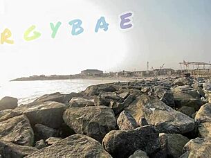 what are you flashing at the public bar and beach, you milf whore?