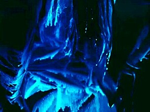 sza jerk off tribute full of passion