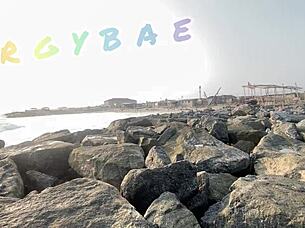 what are you flashing at the public bar and beach, you milf whore?