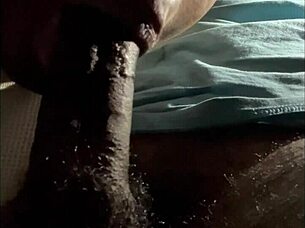 Hey, neighbors, girl next door gives deepthroat on bed