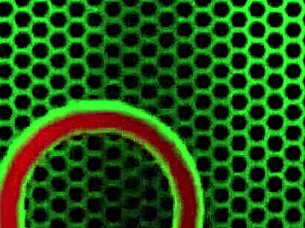 Samantha Rone in fishnets fingers her big ass to orgasm