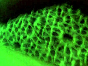 Fucking 21-year-old bent over in ghetto