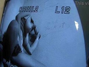 Brunette Sasha Sweet Blows Stranger's Big Cock