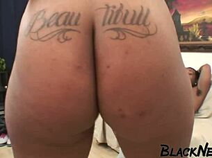 BBC fucks horny Miami amateur deep