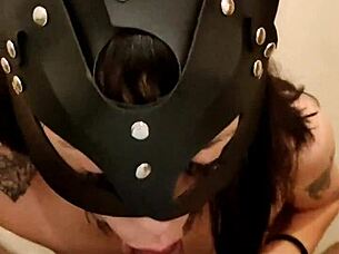 Beautiful Latina kitten at home.