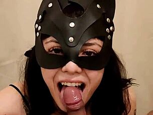 Beautiful Latina kitten at home.